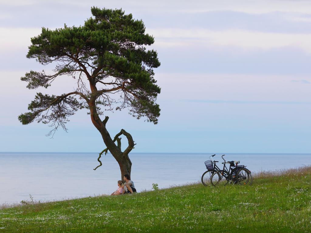 Kuskahusen Vandrarhem Andrarum-Brosarp Exteriér fotografie